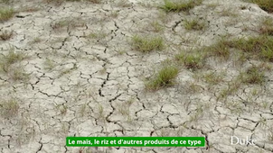10-Understanding How Climate Change Impacts Human Health avec st.mp4