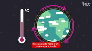 How humans disrupted a cycle essential to all life.mp4