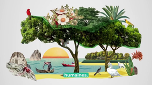 Comment protéger la biodiversité  avec st.mp4